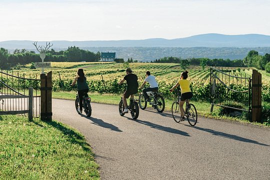 Tour image 9