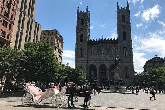 Tour image 14