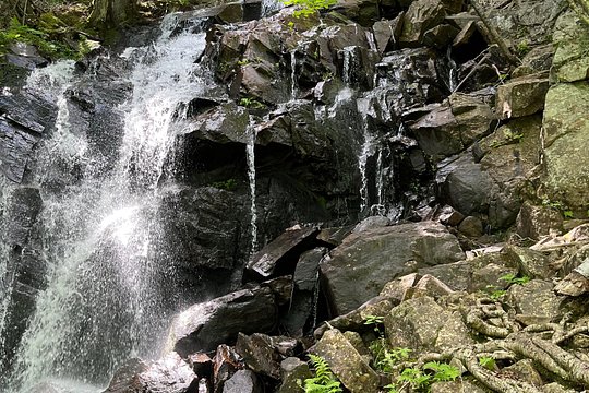 Tour image 4